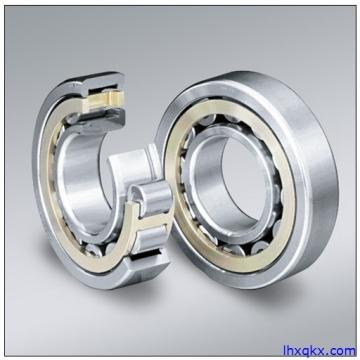 INA SL06016-E Cylindrical Roller Bearings