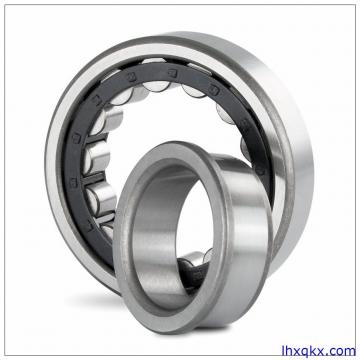 INA SL06016-E-C3 Cylindrical Roller Bearings