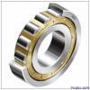 NSK NU318 M Cylindrical Roller Bearings