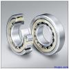 NSK NU 2204 W Cylindrical Roller Bearings