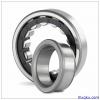 NSK NU 304 W Cylindrical Roller Bearings