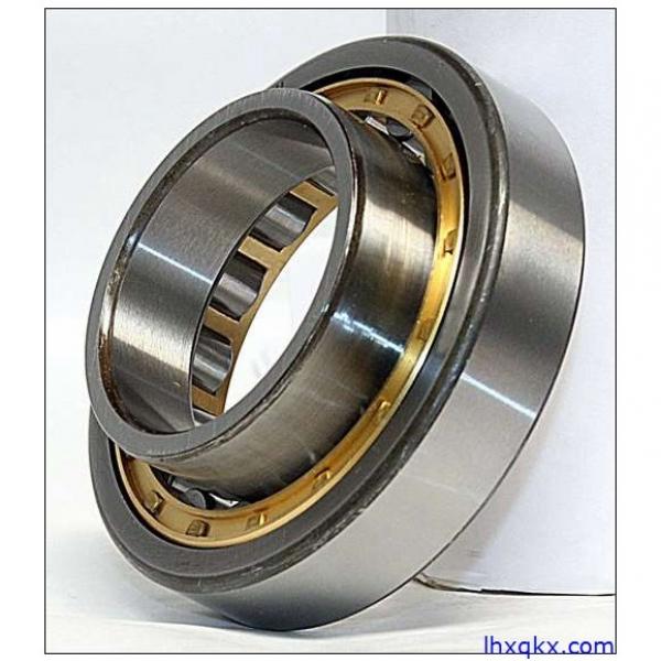 NSK N 209 W Cylindrical Roller Bearings #1 image