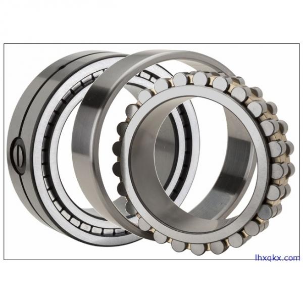 FAG NU2306-E-TVP2 Cylindrical Roller Bearings #1 image