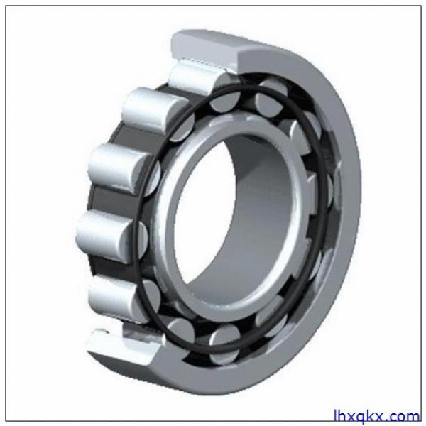 INA SL024928-C3 Cylindrical Roller Bearings #1 image